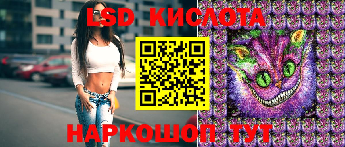 закладка  Наркотические марки 1,8мг  Вход с VPN  Наркотические марки 1,8мг  Новосибирск 