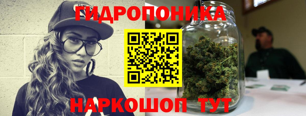 Новосибирск  Бошки марихуана план  Шишки марихуана сатива  Бошки марихуана SATIVA & INDICA  Вход с VPN 